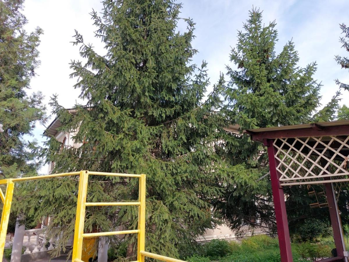 Room Hostel Dostyk Almati Kültér fotó